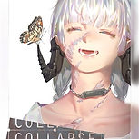 COLLAPSE